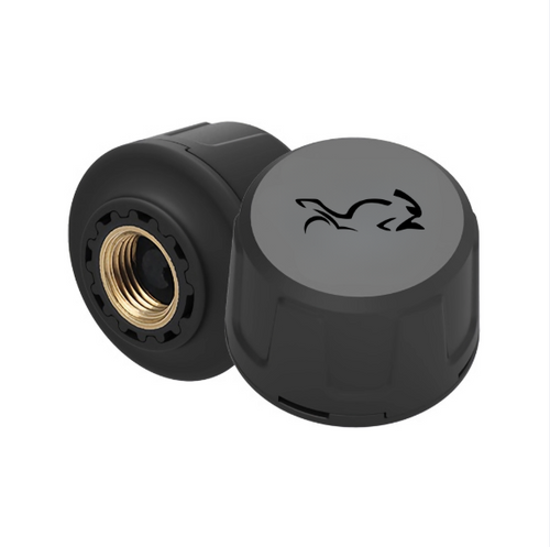 Tire Pressure Monitoring System