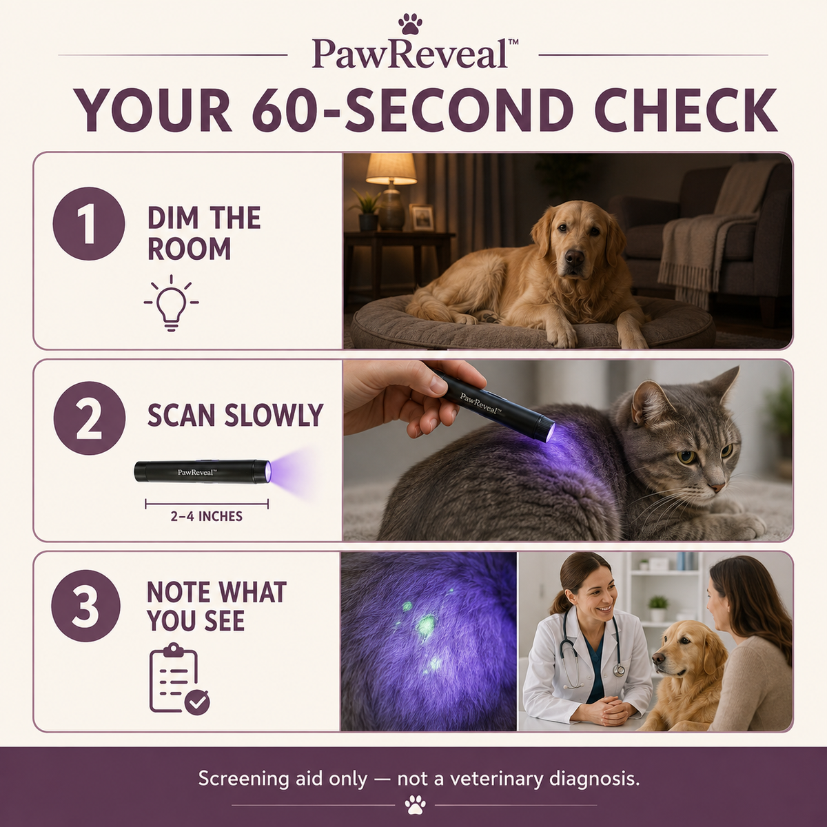 How to use PawReveal UV pet inspection light