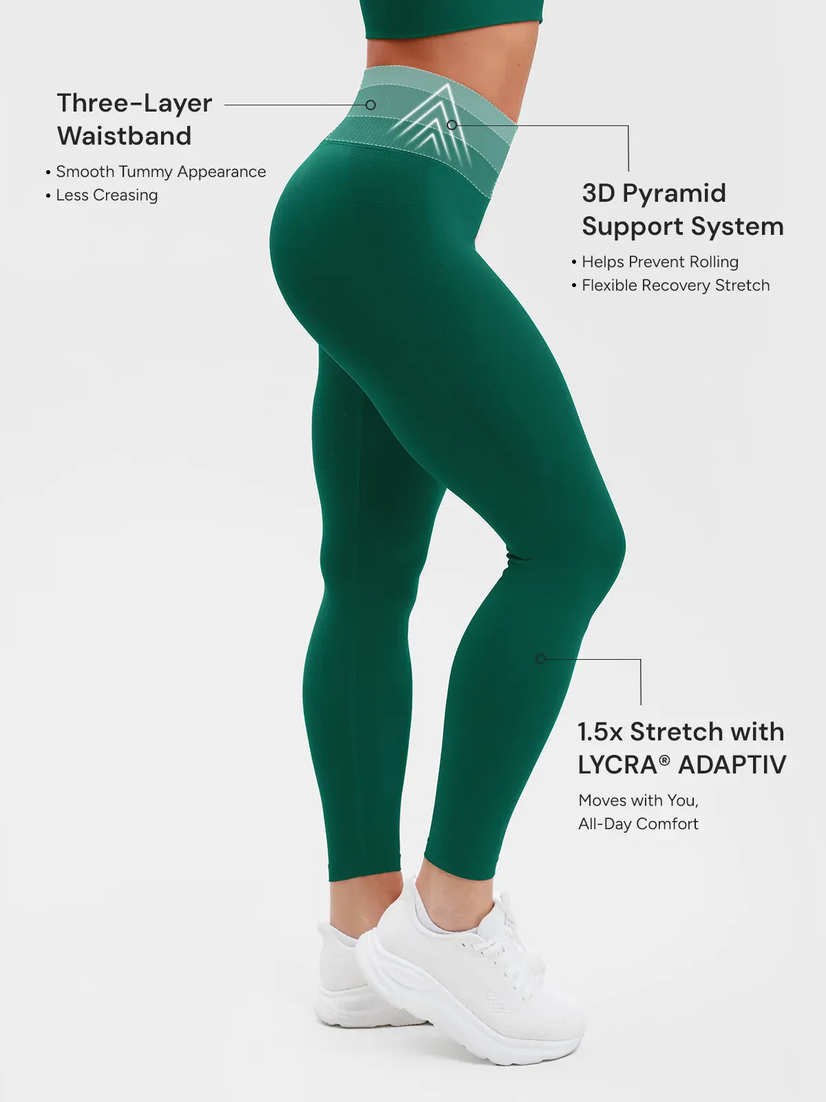 A model wearing a BRXL® STAYLAT™ Seamless High-Rise Sculpt Anti-Roll Leggings 3.0