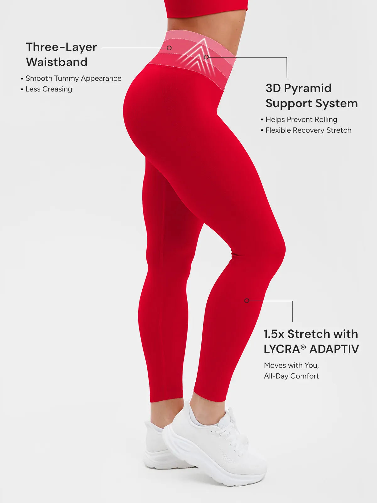 A model wearing a BRXL® STAYLAT™ Seamless High-Rise Sculpt Anti-Roll Leggings 3.0